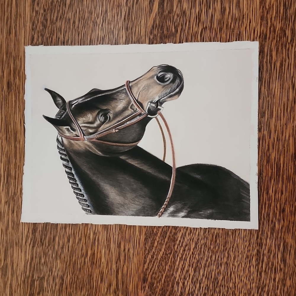 "Dark Bay Pony" Original Watercolour Janet Griffin-Scott